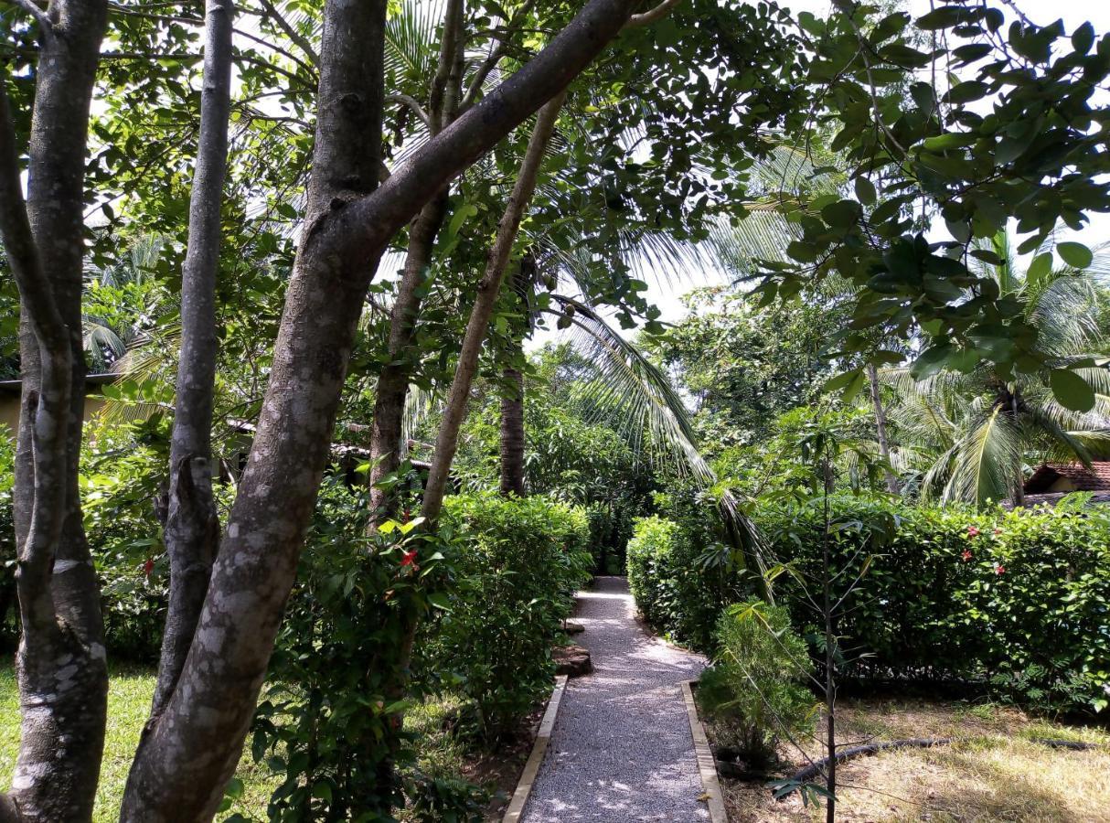 Sigiri Charuka Resort Sigiriya Bagian luar foto